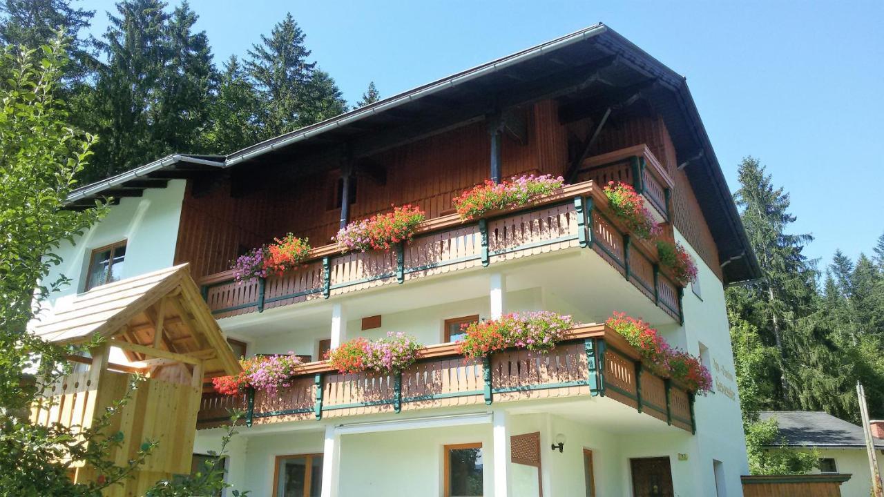 Appartement-Pension Familie Gewessler Bad Mitterndorf Luaran gambar